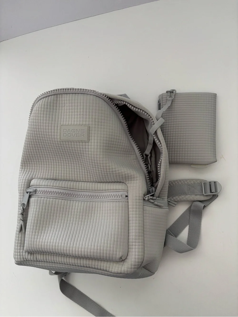 Dagne Dover Light Gray Travel Backpack